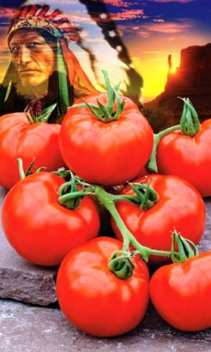 Томат КРАСНОКОЖИЙ ВОЖДЬ F1