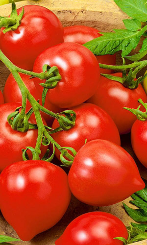 Томат КРАСНЫЙ ЧЕМПИОН F1