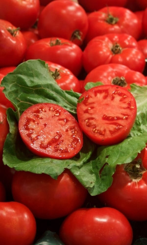 Томат КРАЙНИЙ СЕВЕР &mdash; Очень надёжный и выносливый северный малыш! Не требует к себе особого внимания и неизменно удивляет своей урожайностью!