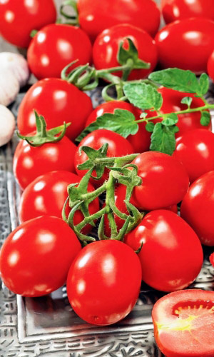 Томат МАРЬЮШКА &mdash; Не растрескивается! Беспроблемный! Не требует подвязки и пасынкования!