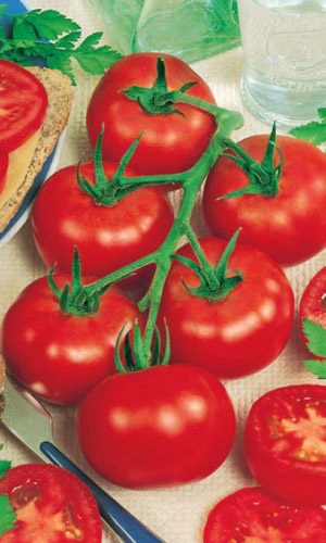 Томат РОК-Н-РОЛЛ F1 &mdash; Единственный и неповторимый! Стабильно высокий урожай при любой погоде!