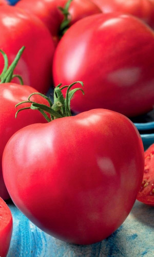 Томат СЕРДЦЕ БУЙВОЛА