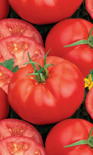 Томат СКАЗКА