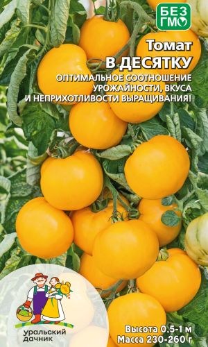 Томат В ДЕСЯТКУ &mdash; Оптимальное соотношение урожайности, вкуса и неприхотливости!