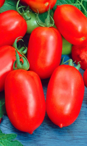 Томат ЗАСОЛОЧНЫЙ РУССКИЙ ДЕЛИКАТЕС