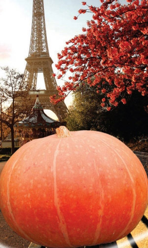 Тыква РОМАНТИКА