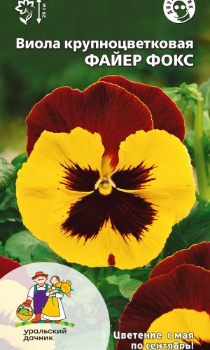 Виола ФАЙЕР ФОКС