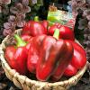 Перец КРАСНАЯ ЗВЕЗДА F1