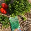 Петрушка кудрявая ХЛОПЕЦ КУЧЕРЯВЫЙ