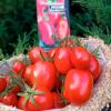 Томат ЗАСОЛОЧНЫЙ РУССКИЙ ДЕЛИКАТЕС
