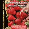 Земляника САНЬКИНА ЛЮБОВЬ
