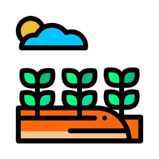 Открытый грунт